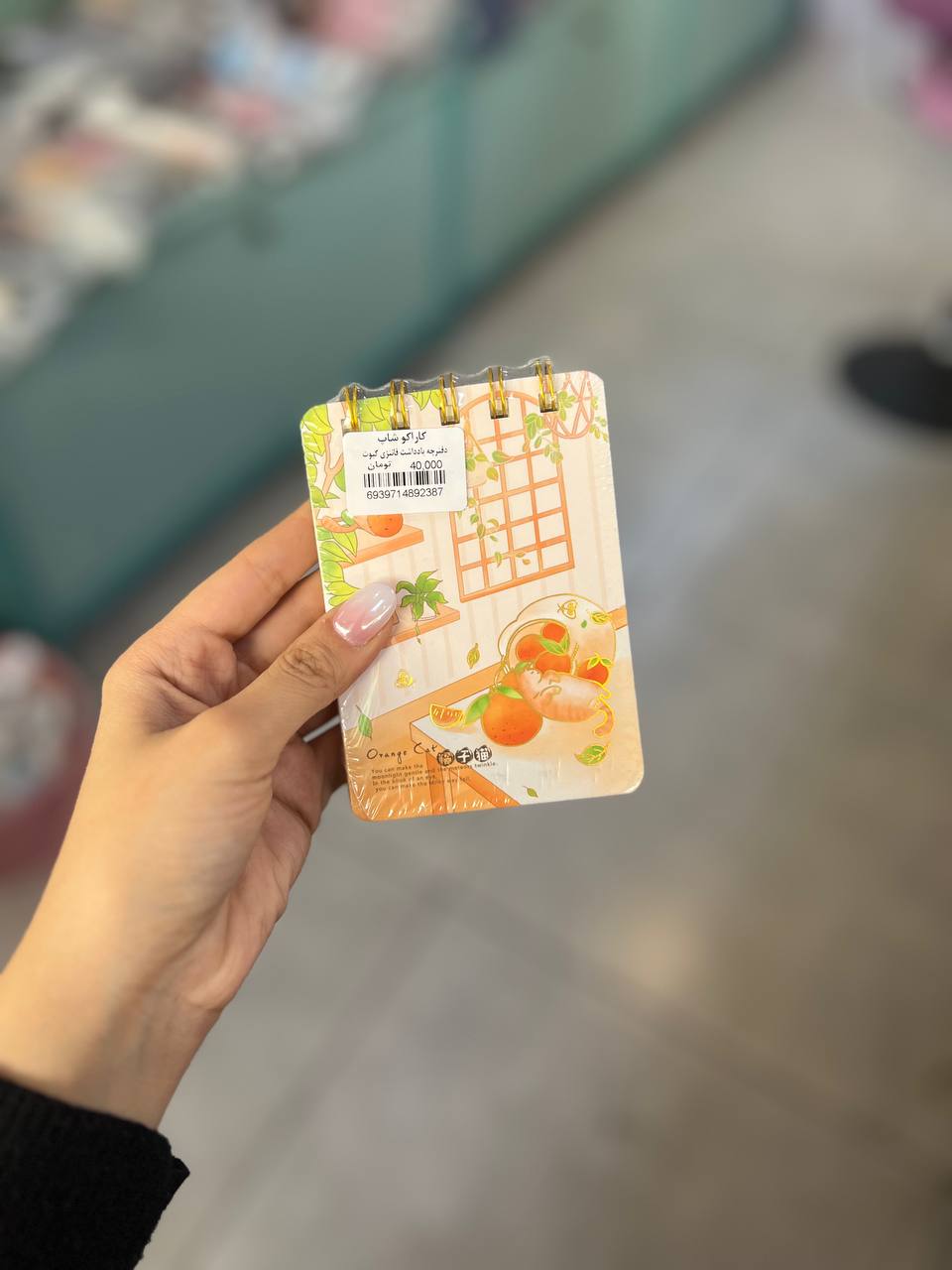 دفترچه فانتزی پیشی