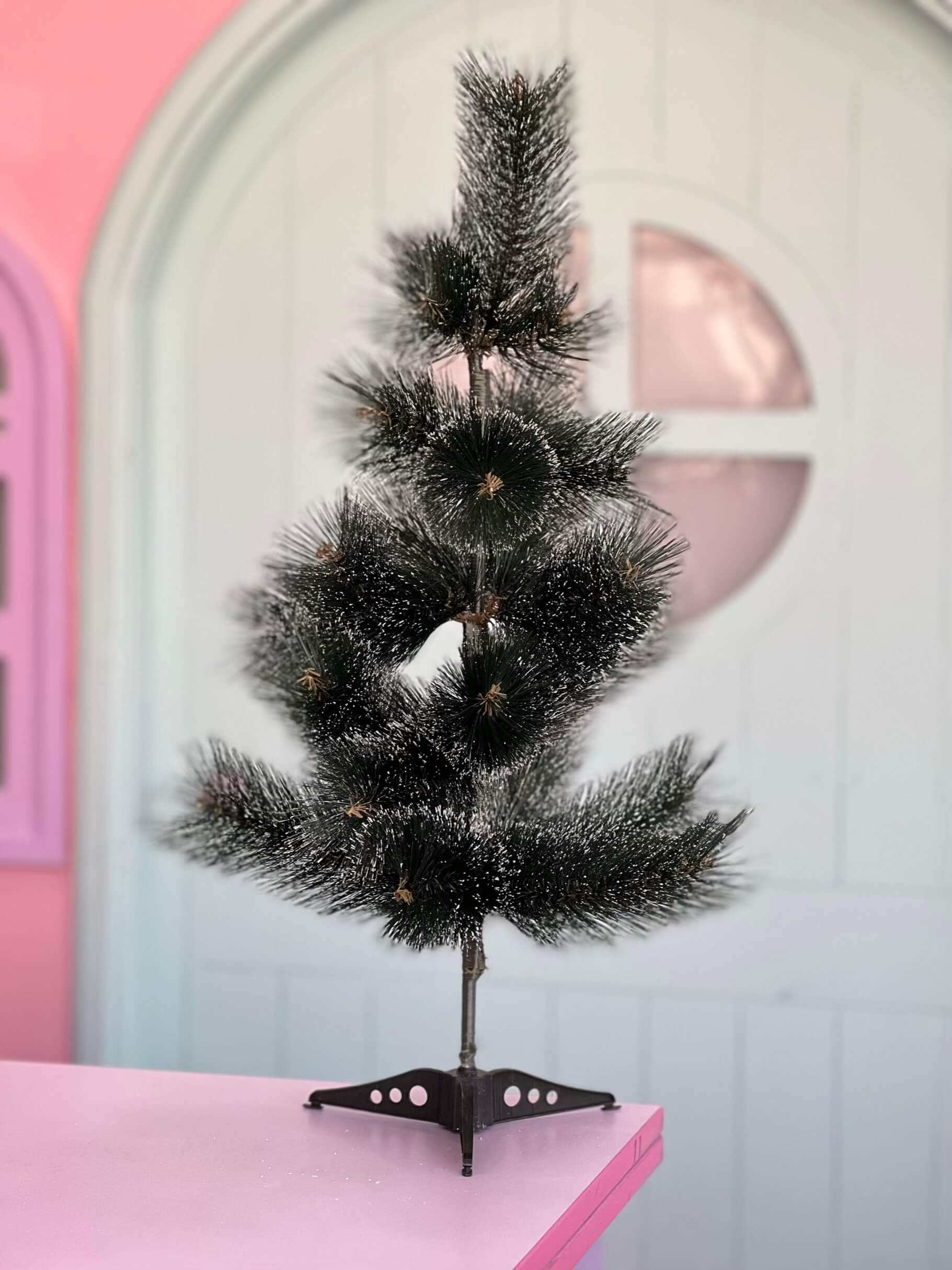 درخت کاج نوک برفی 60 و 90سانت