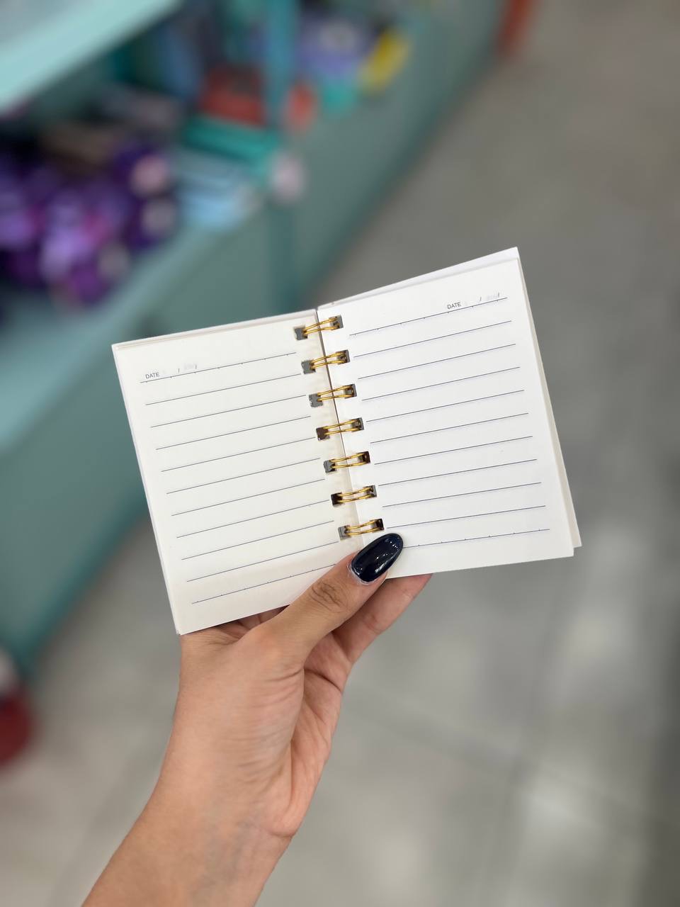 دفترچه آکواریومی لبوبو