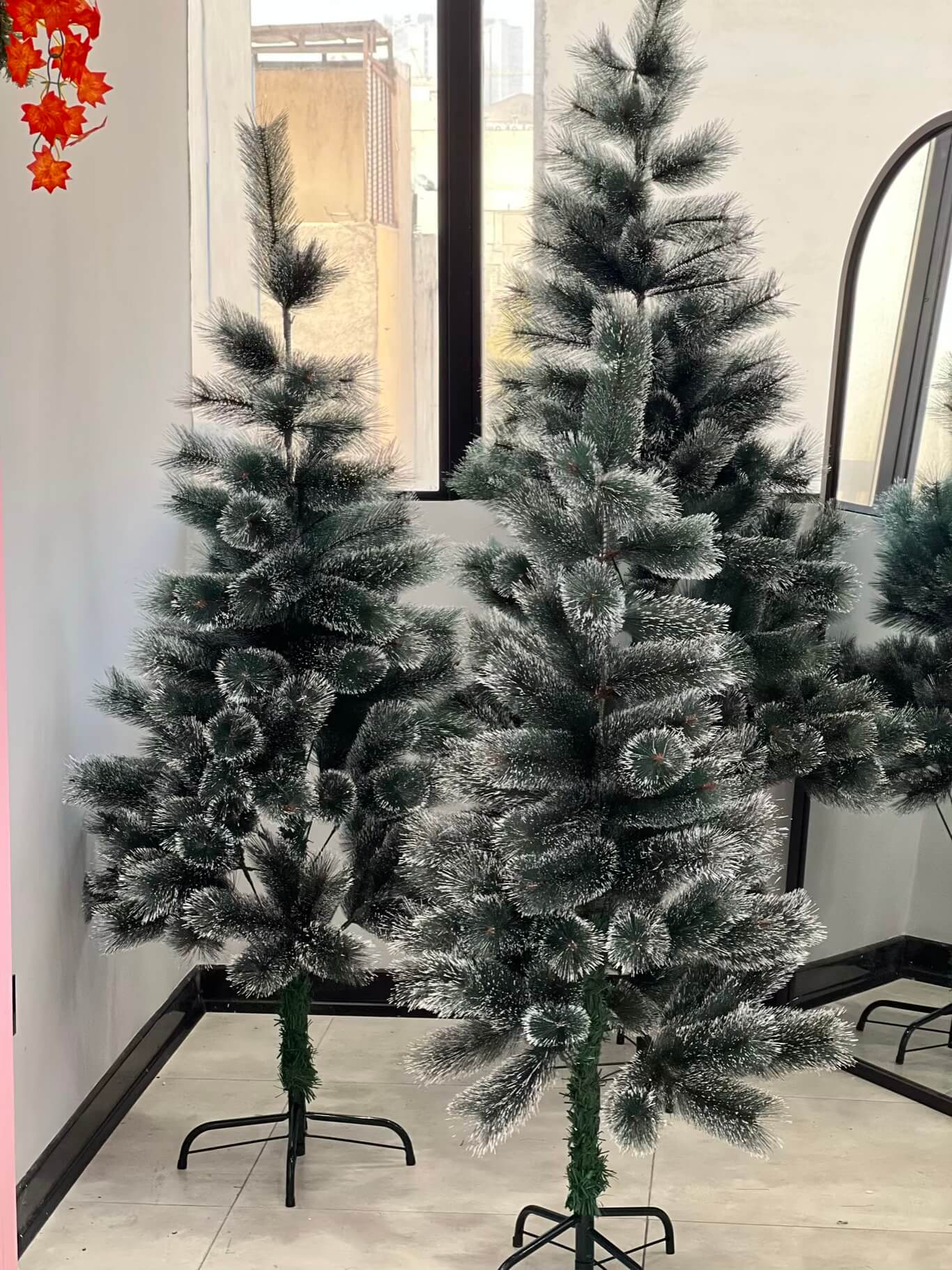 درخت کاج نوک برفی 120،150و180 سانت